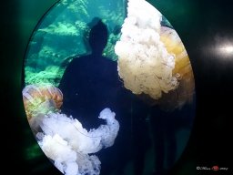 Tiergarten Schönbrunn am 23.03.2023